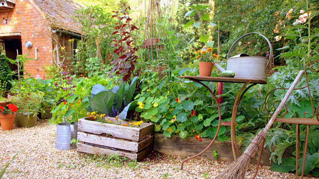 Online Self Sufficient Vegetable Gardening Course for One with an Expert picture